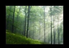 Whispers of Earth: Μια συλλογή από γαλήνια και ήρεμα τοπία σε κάθε κάδρο