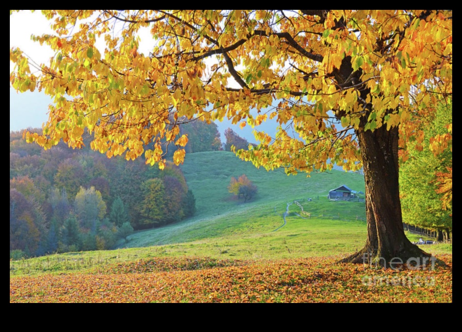Symphony of Colors: Εξερευνώντας τα Φθινοπωρινά Τοπία
