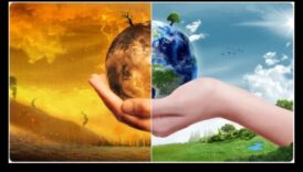 Climate Chronicles II: Continuation of Landscapes Amid Change