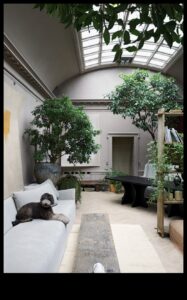 Sustainable Elegance: Τάσεις στο Μοντέρνο Σχεδιασμό Τοπίου