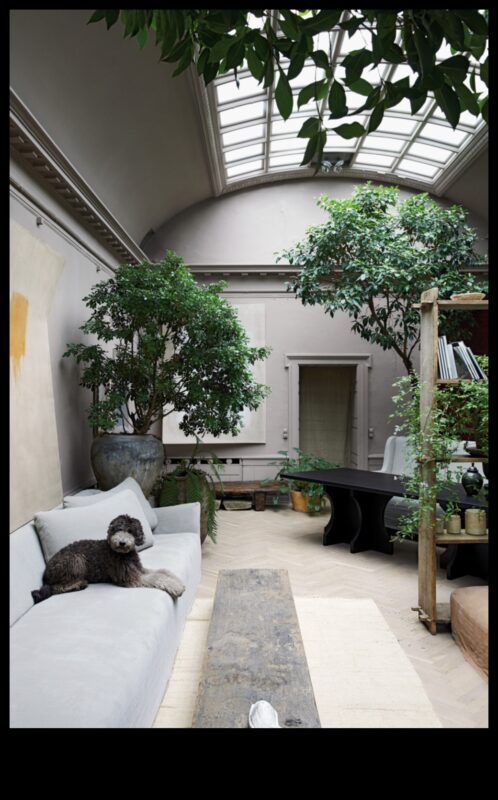 Sustainable Elegance: Τάσεις στο Μοντέρνο Σχεδιασμό Τοπίου