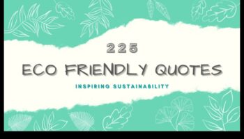 Visual Dialogues in Green Technology: Conversations in Eco-Friendly Innovation