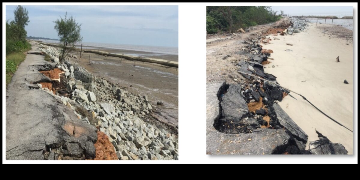 Γιατί τα παράκτια τοπία είναι ευάλωτα στη ρύπανση και την καταστροφή των οικοτόπων;