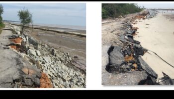 Γιατί τα παράκτια τοπία είναι ευάλωτα στη ρύπανση και την καταστροφή των οικοτόπων;