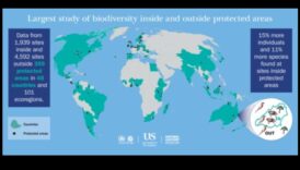 Προστατευόμενες φυσικές περιοχές: Διατήρηση εστιών βιοποικιλότητας