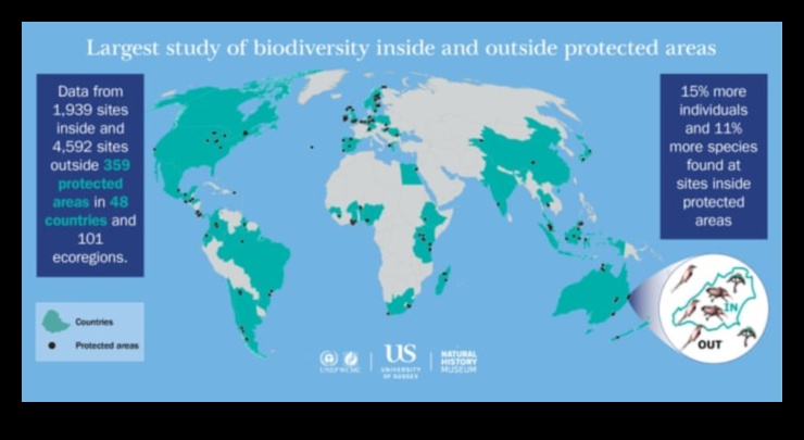 Προστατευόμενες περιοχές Ασφαλή καταφύγια για τη βιοποικιλότητα 1 Προστατευόμενες φυσικές περιοχές: Διατήρηση εστιών βιοποικιλότητας