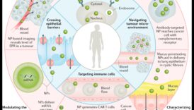 Σχεδιάζοντας την Έργο τέχνης Nano Perspectives Through the Lenses of Precision Technology 4 Σχεδιασμός νανοπροοπτικών: Τέχνη μέσα από διαφορετικούς φακούς στην τεχνολογία ακριβείας