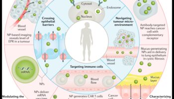 Σχεδιασμός νανοπροοπτικών: Τέχνη μέσα από διαφορετικούς φακούς στην τεχνολογία ακριβείας