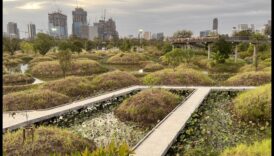 Το αστικό δασώδης περιοχή Μια πράσινη όαση στην πόλη 2 Τι ρόλο παίζουν τα αστικά δάση στη βελτίωση των τοπίων της πόλης;