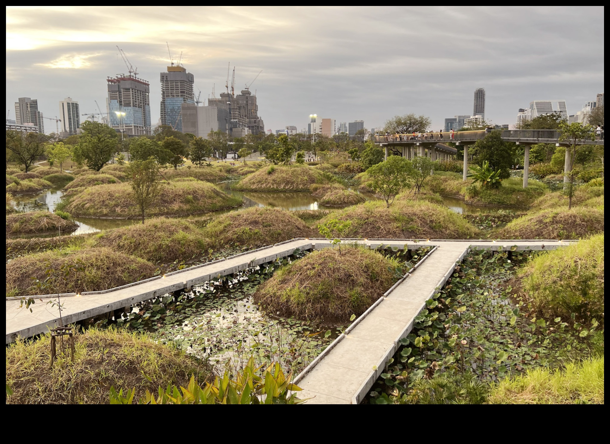 Τι ρόλο παίζουν τα αστικά δάση στη βελτίωση των τοπίων της πόλης;